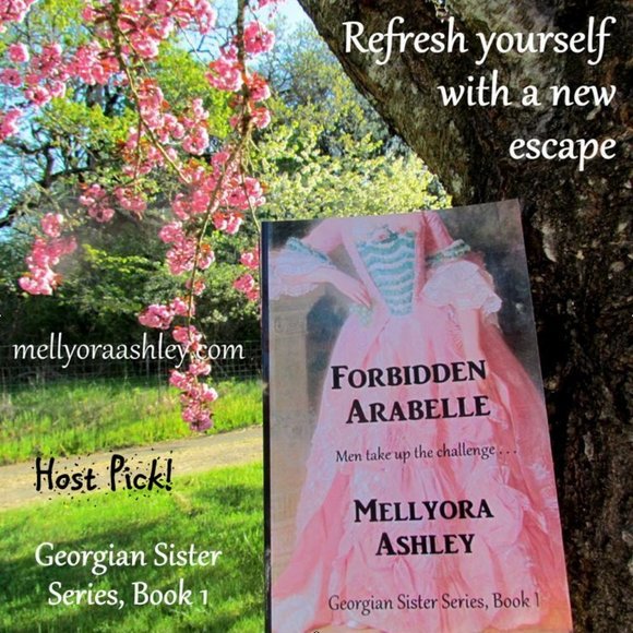 FORBIDDEN ARABELLE by MELLYORA ASHLEY, HISTORICAL ROMANCE SERIES, 5 STAR NOVEL - Picture 8 of 8